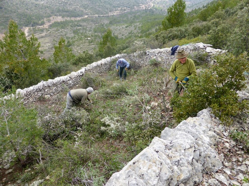 A l&rsquo;époque des bergers, à côté des bories qui servaient  d&rsquo;abri, on trouvait une jasse.