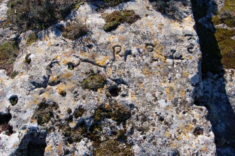 Gravures rupestres au Défens